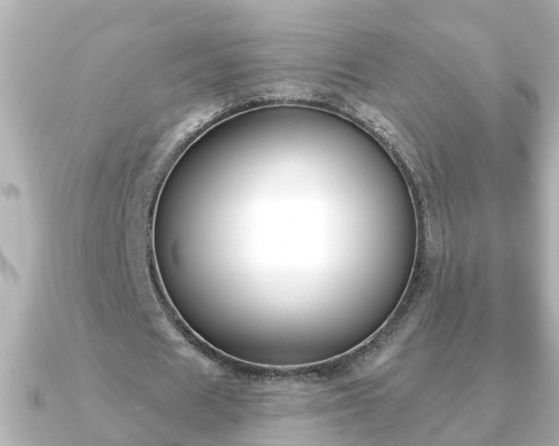 X0000090950625200708091329