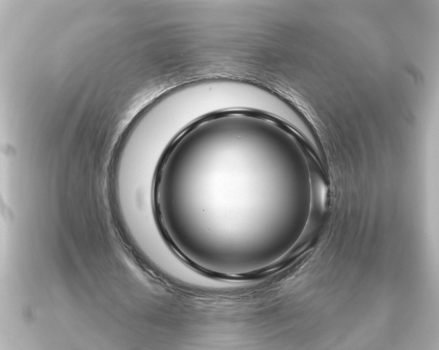 X0000090950626200708091329
