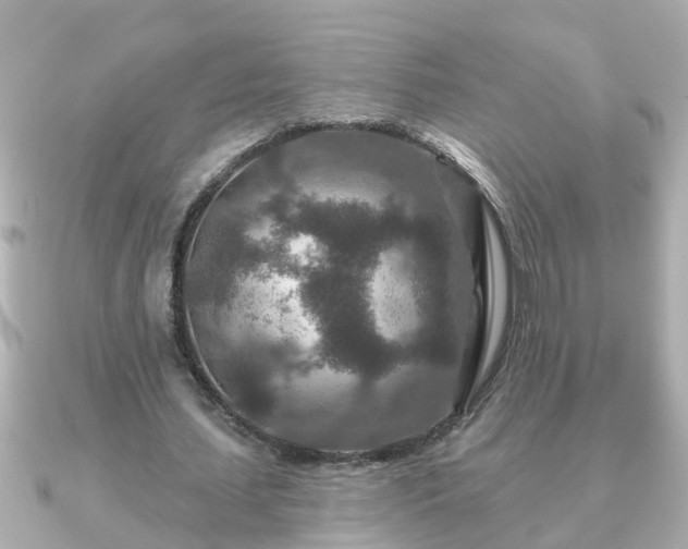 X0000090950627200708091329