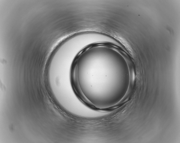 X0000090950628200708091329
