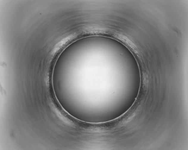 X0000090950629200708091329