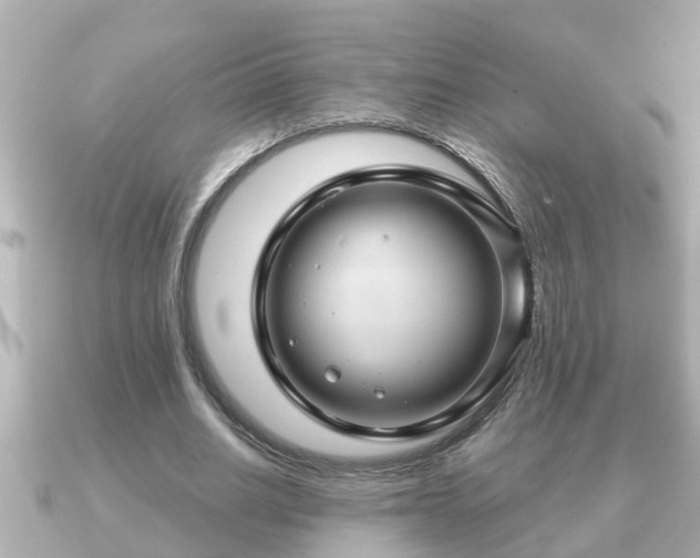 X0000090950630200708091329