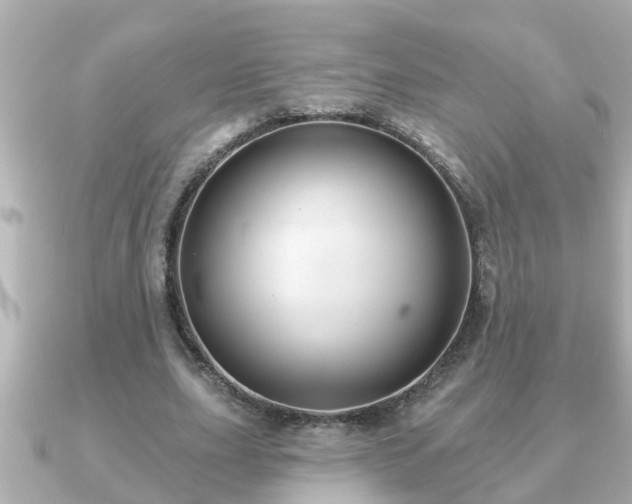 X0000090950631200708091329