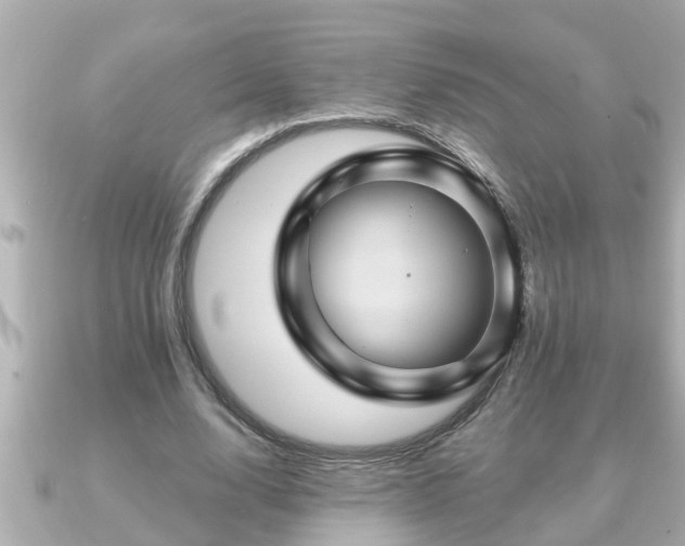 X0000090950632200708091329
