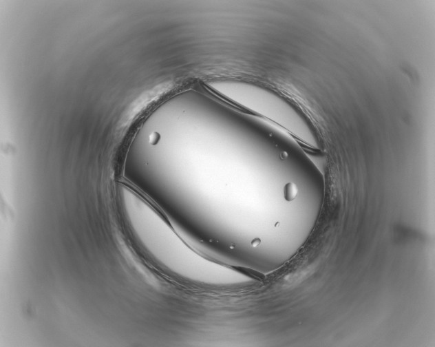 X0000090950634200708091329