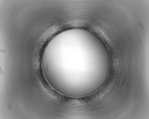 X0000090950635200708091329