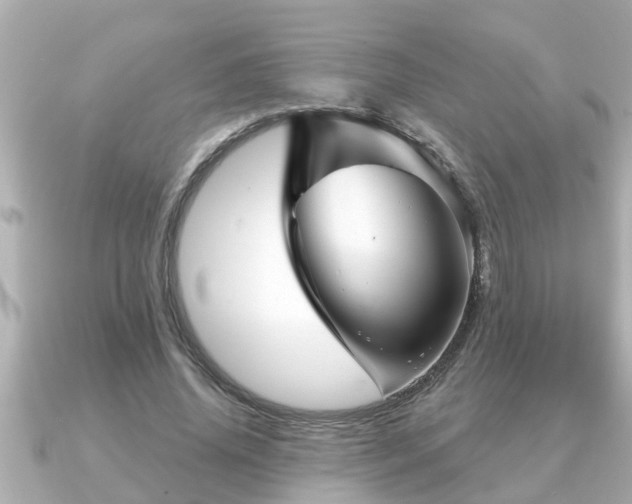 X0000090950636200708091329