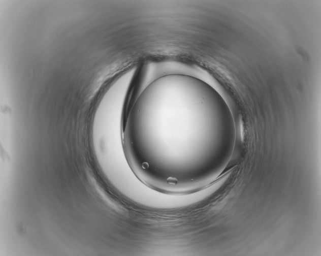 X0000090950638200708091329