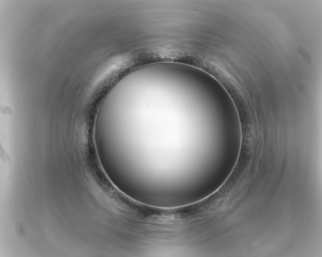 X0000090950639200708091329