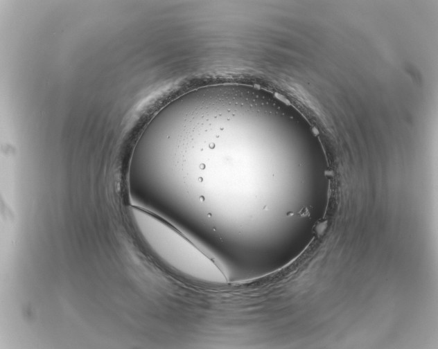X0000090950640200708091329