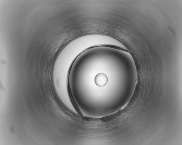X0000090950642200708091329