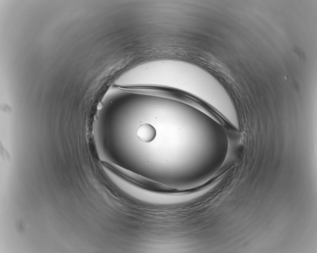 X0000090950644200708091329
