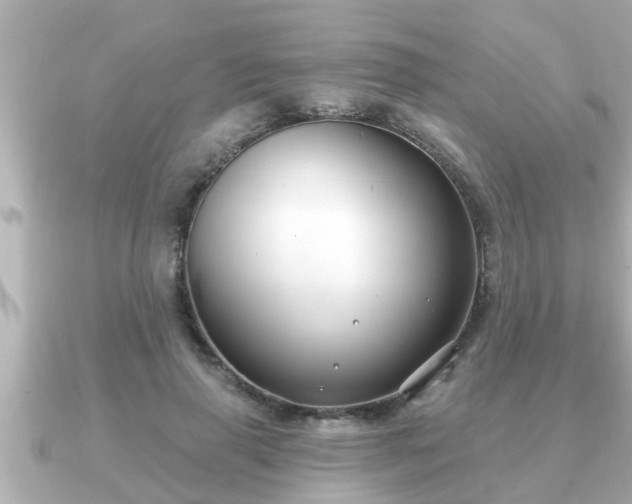 X0000090950645200708091329