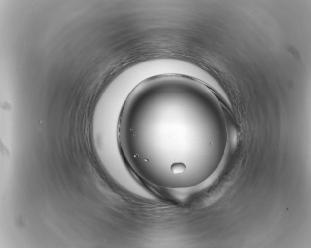 X0000090950646200708091329