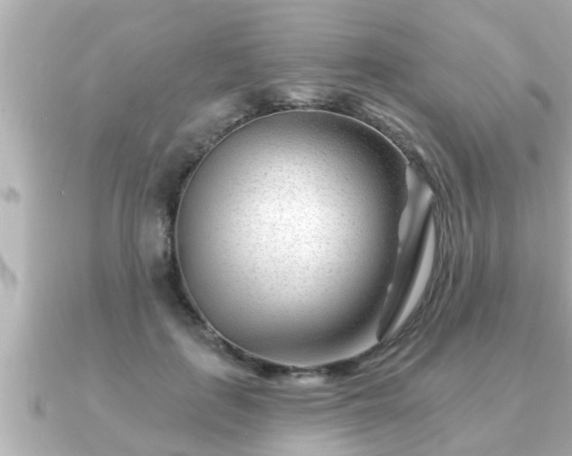 X0000090950651200708091329