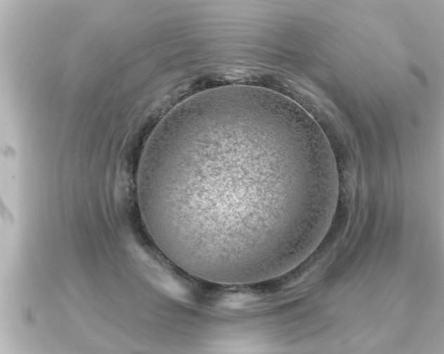 X0000090950653200708091329
