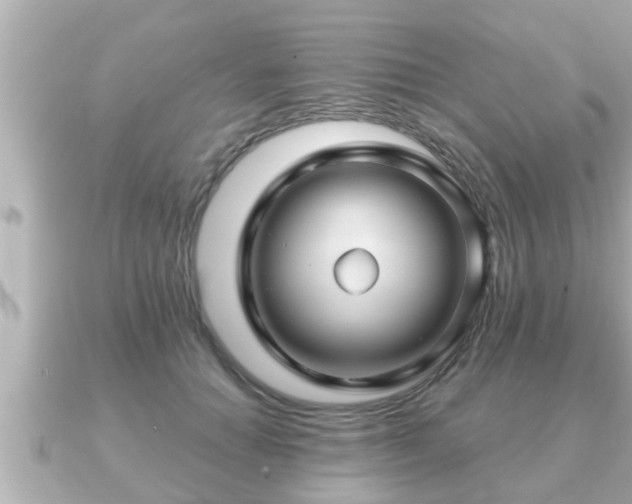 X0000090950654200708091329