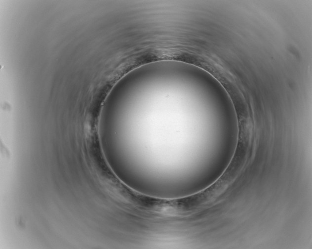 X0000090950655200708091329
