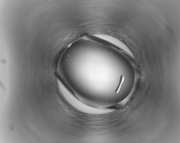X0000090950658200708091329