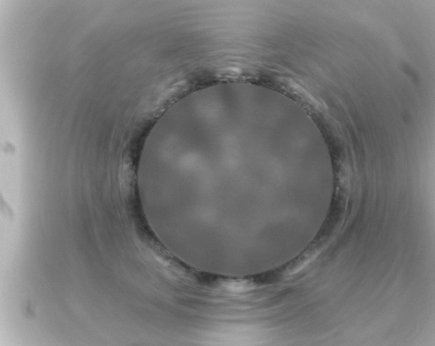 X0000090950659200708091329