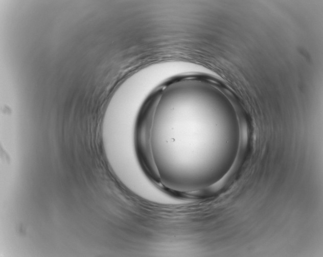 X0000090950660200708091329