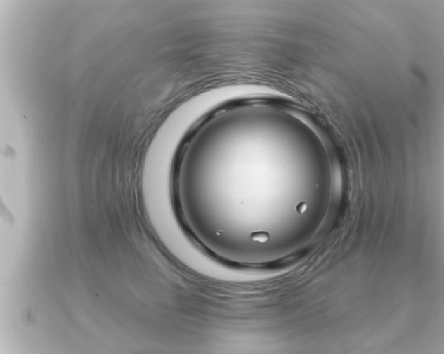 X0000090950662200708091329