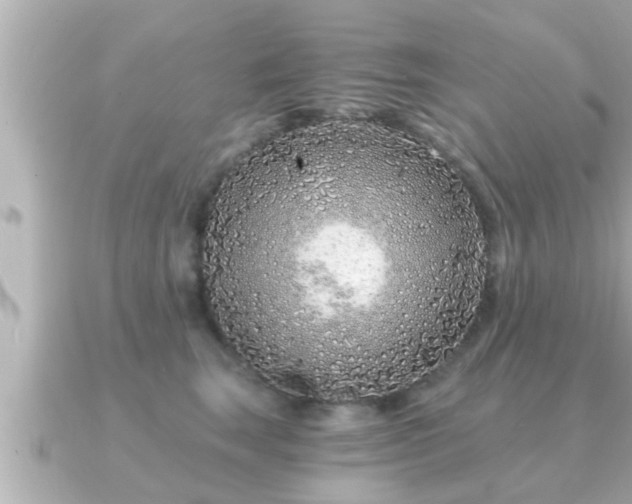 X0000090950663200708091329