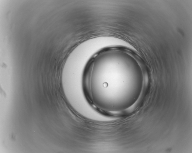 X0000090950664200708091329