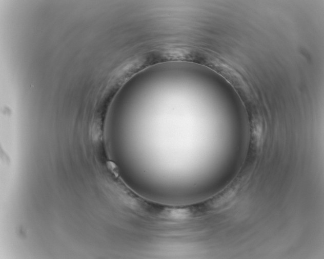 X0000090950665200708091329