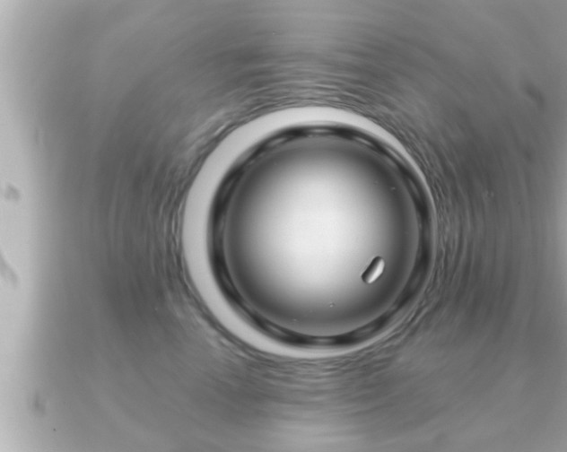 X0000090950666200708091329