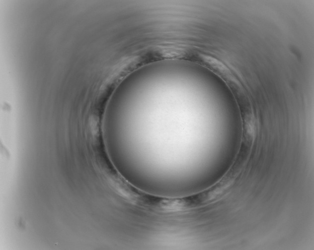 X0000090950667200708091329