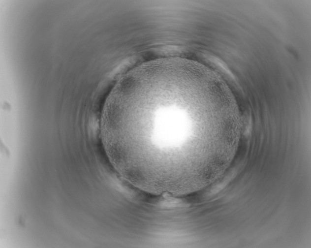 X0000090950669200708091329