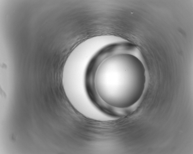 X0000090950672200708091329