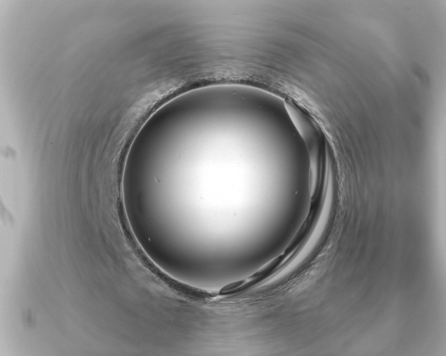 X0000090950673200708091329