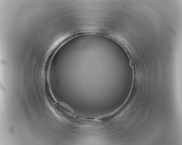 X0000090950674200708091329