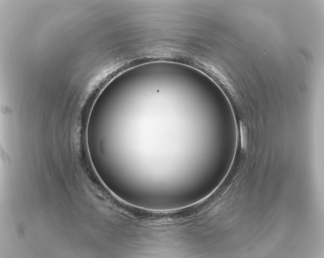 X0000090950675200708091329