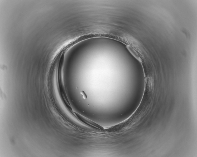 X0000090950676200708091329