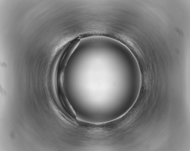 X0000090950677200708091329