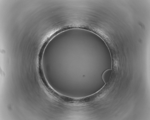 X0000090950678200708091329