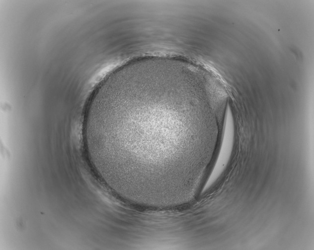 X0000090950679200708091329