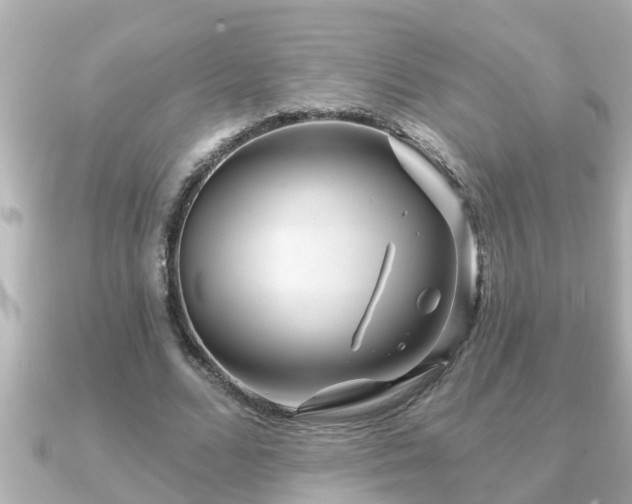 X0000090950680200708091328