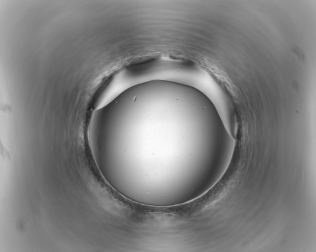 X0000090950681200708091328