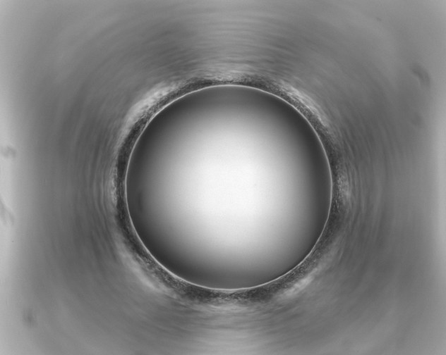 X0000090950682200708091328