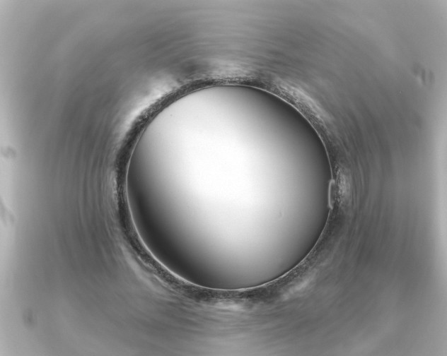 X0000090950684200708091328