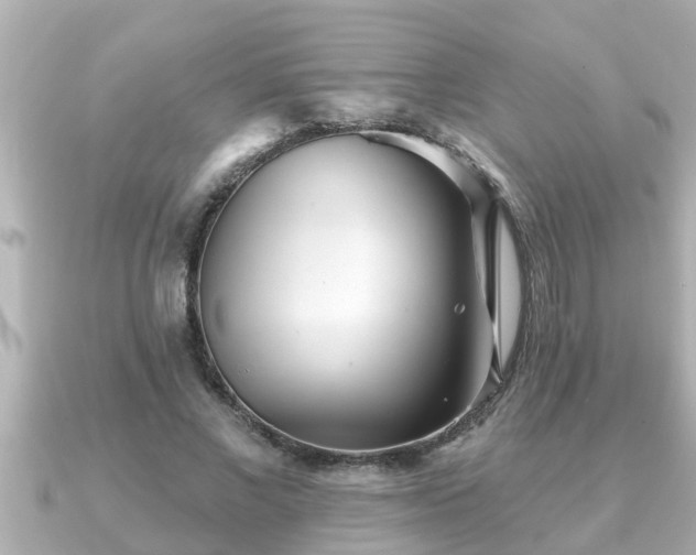 X0000090950685200708091328