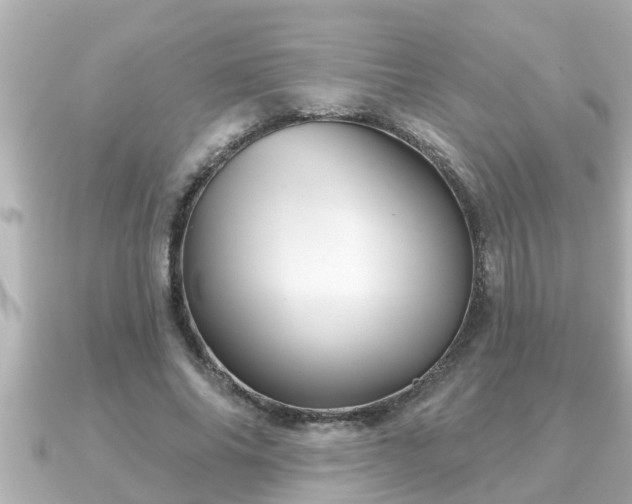 X0000090950686200708091328