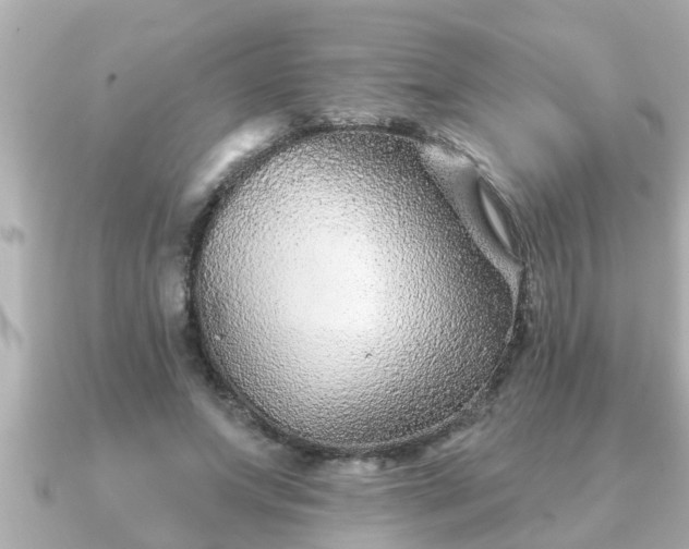 X0000090950687200708091328