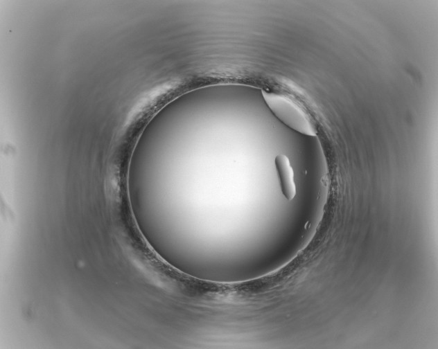 X0000090950688200708091328