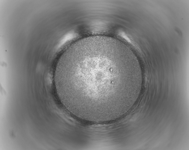 X0000090950691200708091328