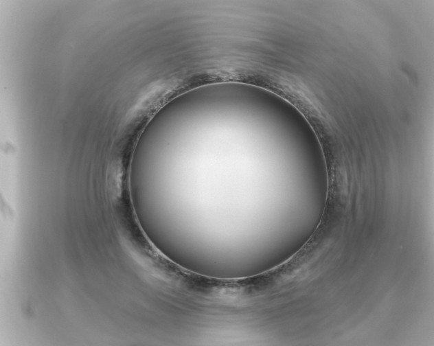 X0000090950694200708091328